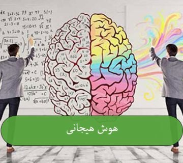 هوش هیجانی