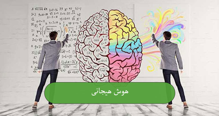 هوش هیجانی