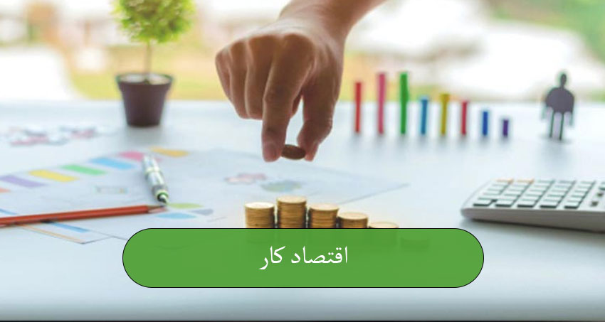 اقتصاد کار 