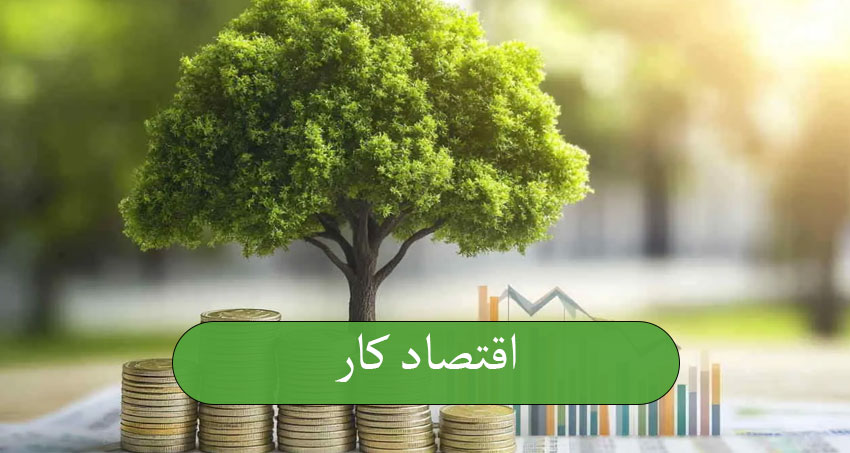 اقتصاد کار